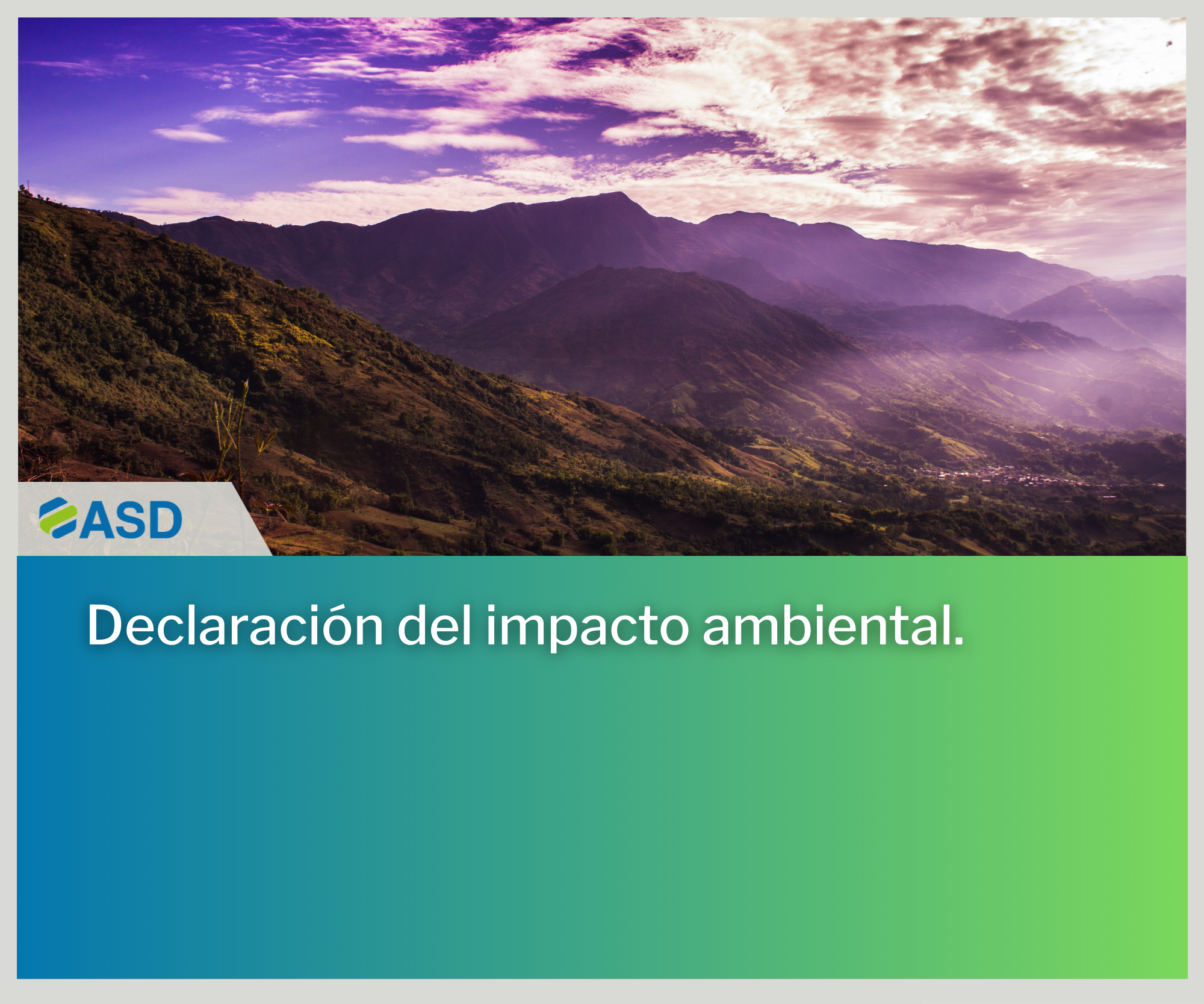 Declaración de Impacto Ambiental.