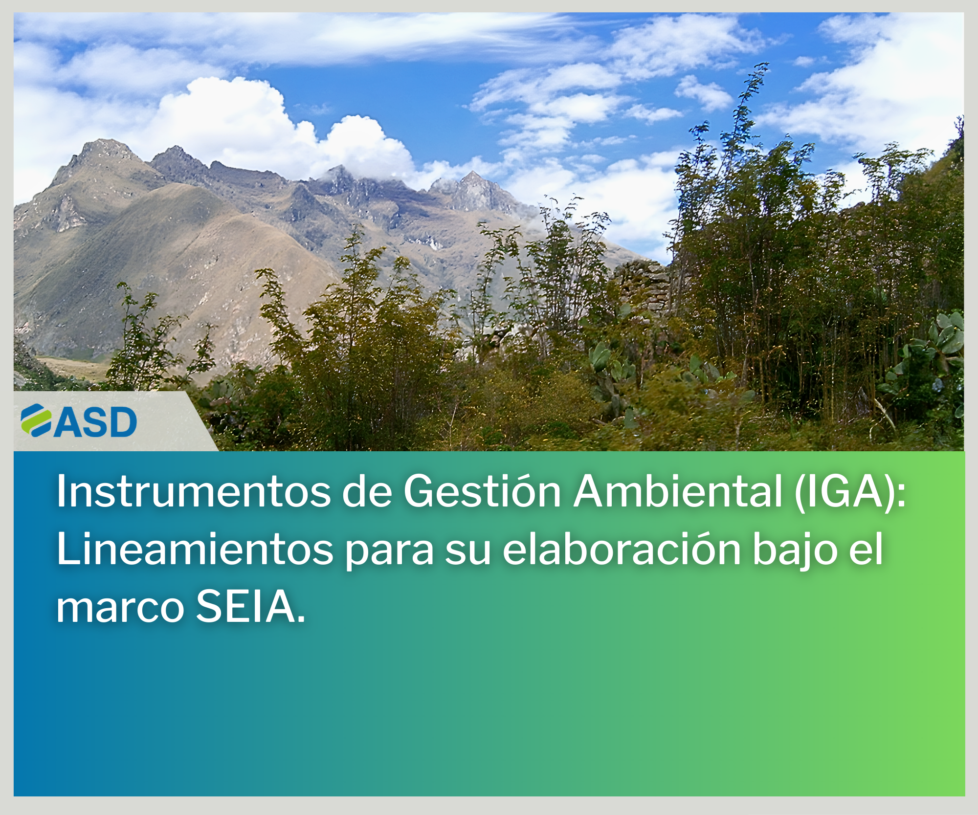 Instrumentos de Gestión Ambiental (IGA): Lineamientos para su elaboración bajo el marco SEIA